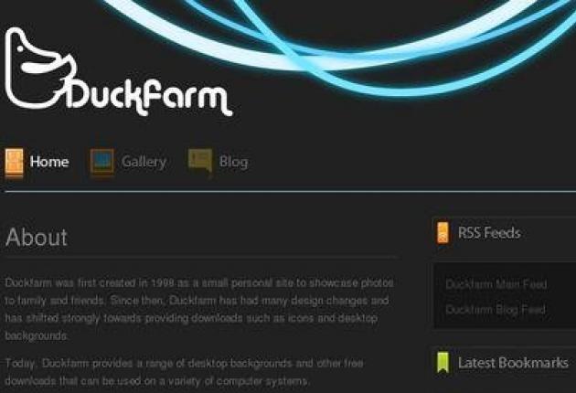 Duckfarm