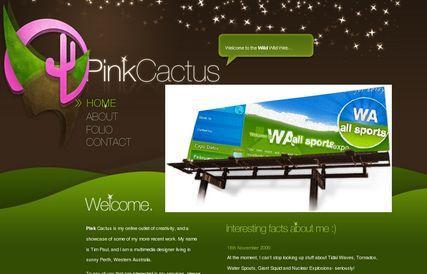 Pink Cactus