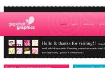 Grape Fruit Graphics