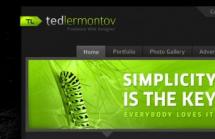 Ted Lermontov