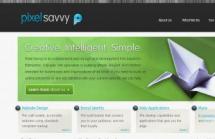 Pixel Savvy