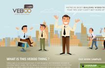 Veboo Labs