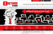 NETWiSE Strategies