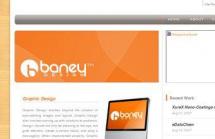 Baney Design