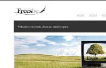Freesbe