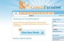 Conch Paradise Philippines