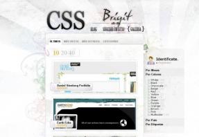 Css Brigit