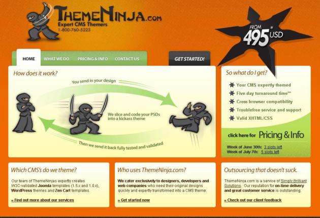 ThemeNinja.com